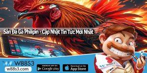 Sân Đá Gà Philipin - Cập Nhật Tin Tức Mới Nhất